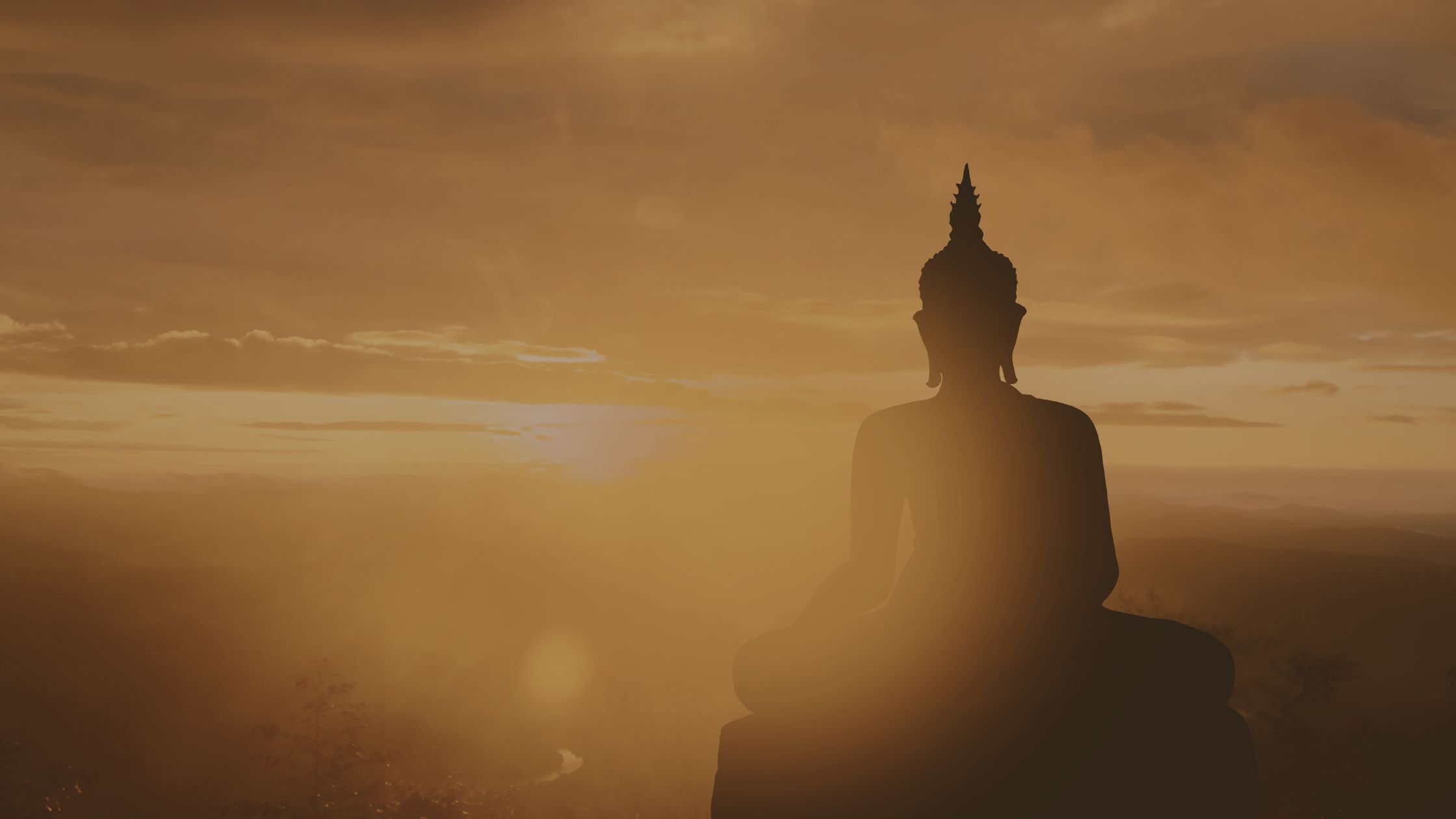 sn-banner-per-sito-2-1