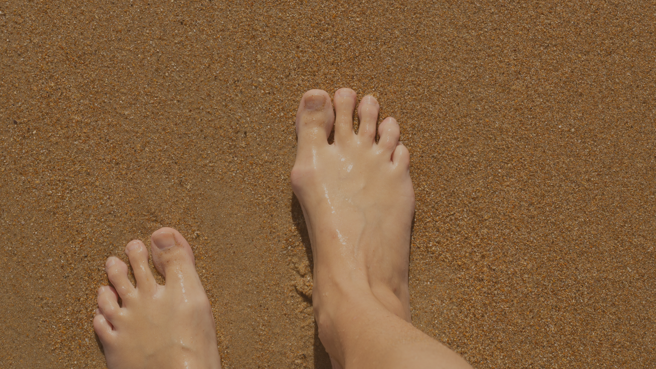 SN - Banner per sito(1)