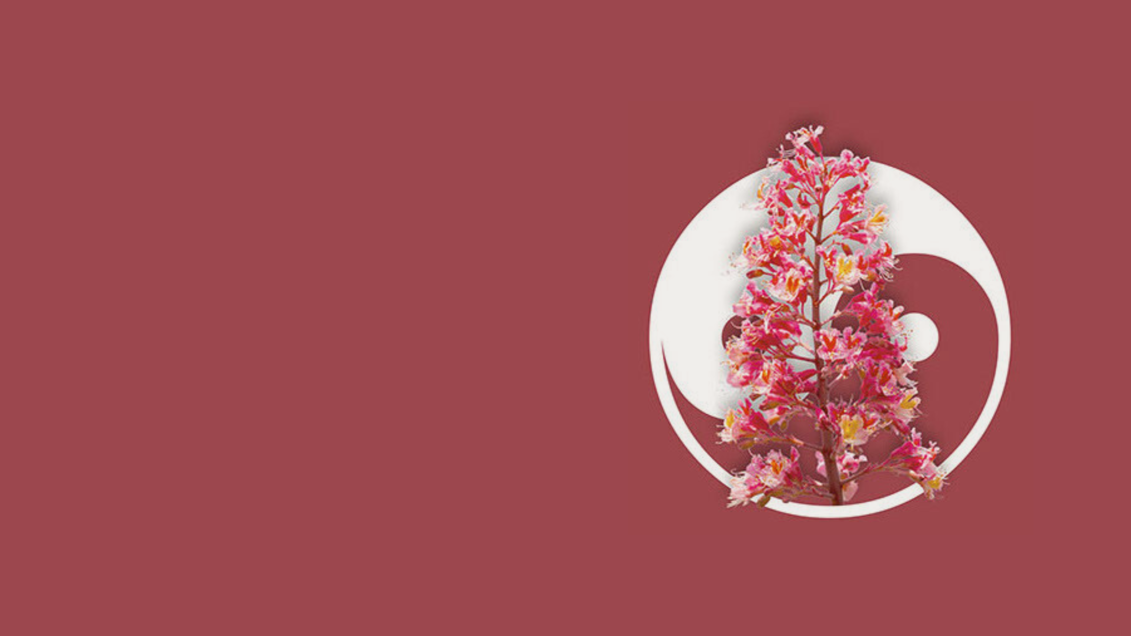 SN - Banner per sito(3)